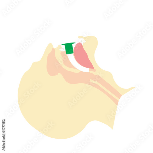 Oropharyngeal airways or oral airway positioned in a patient illustration