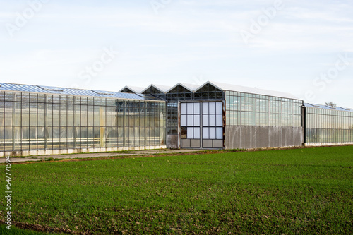 Glass exterior of a greenhouse  with a grass field  in the foreground in Arnhem in the Netherlands © photosis