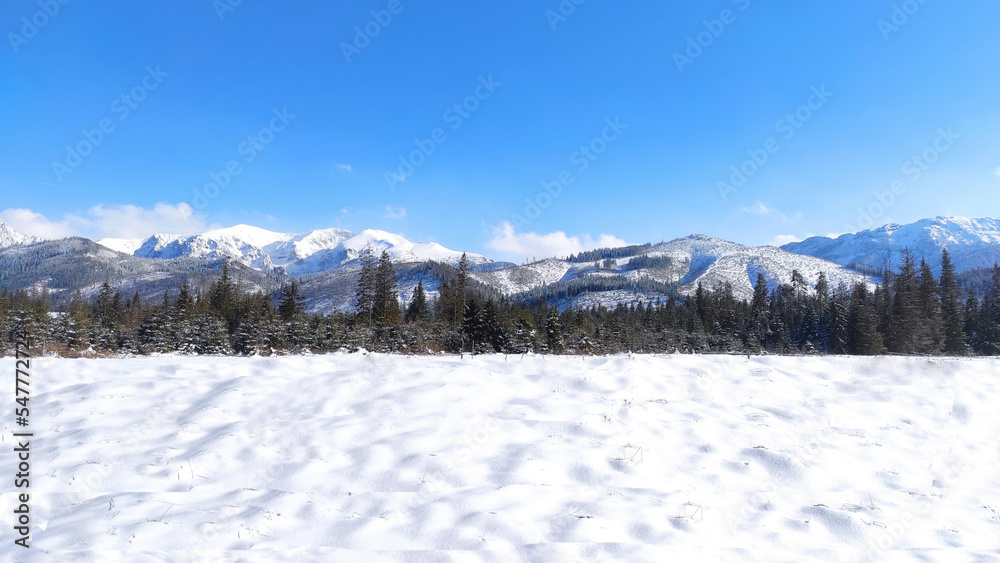 panoramic landscape with tatra mountains. landscape in winter.
