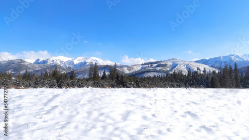 panoramic landscape with tatra mountains. landscape in winter.