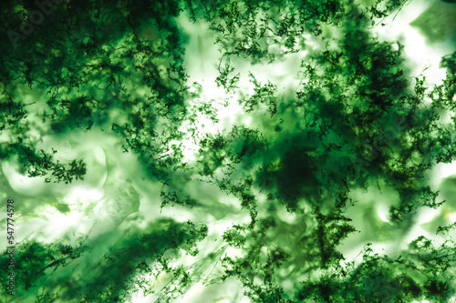 green moss agate (chalcedony crystal with green dendritic inclusion) macro detail. close-up of a textured semi-precious gemstone background. backlight transparency