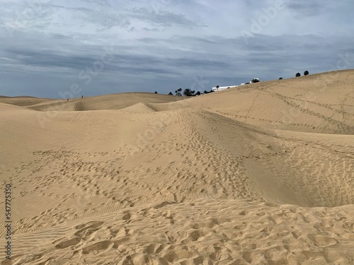 Dunes de Maspalomas aux   les Canaries