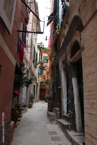 narrow street in the town © benjamin
