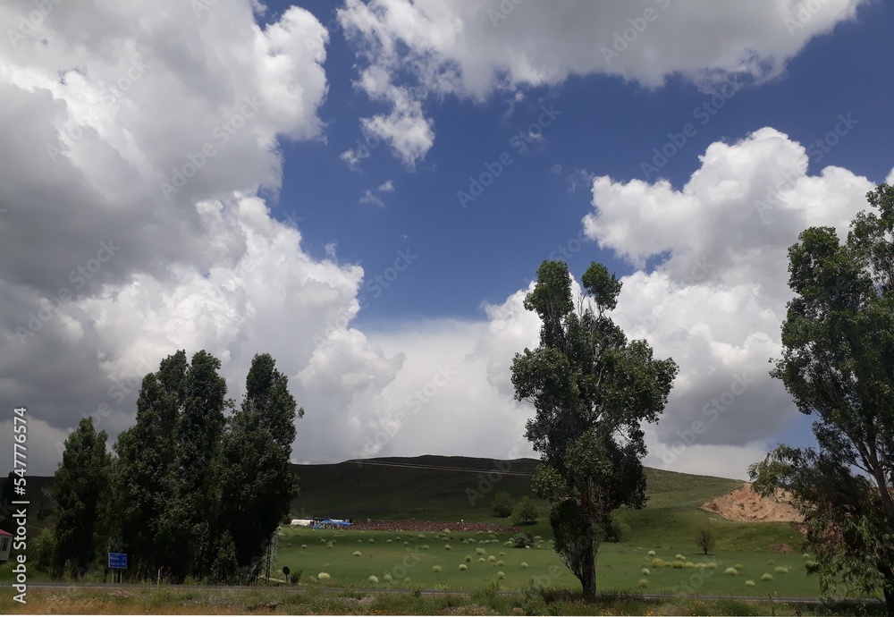 Obraz premium hives on hill