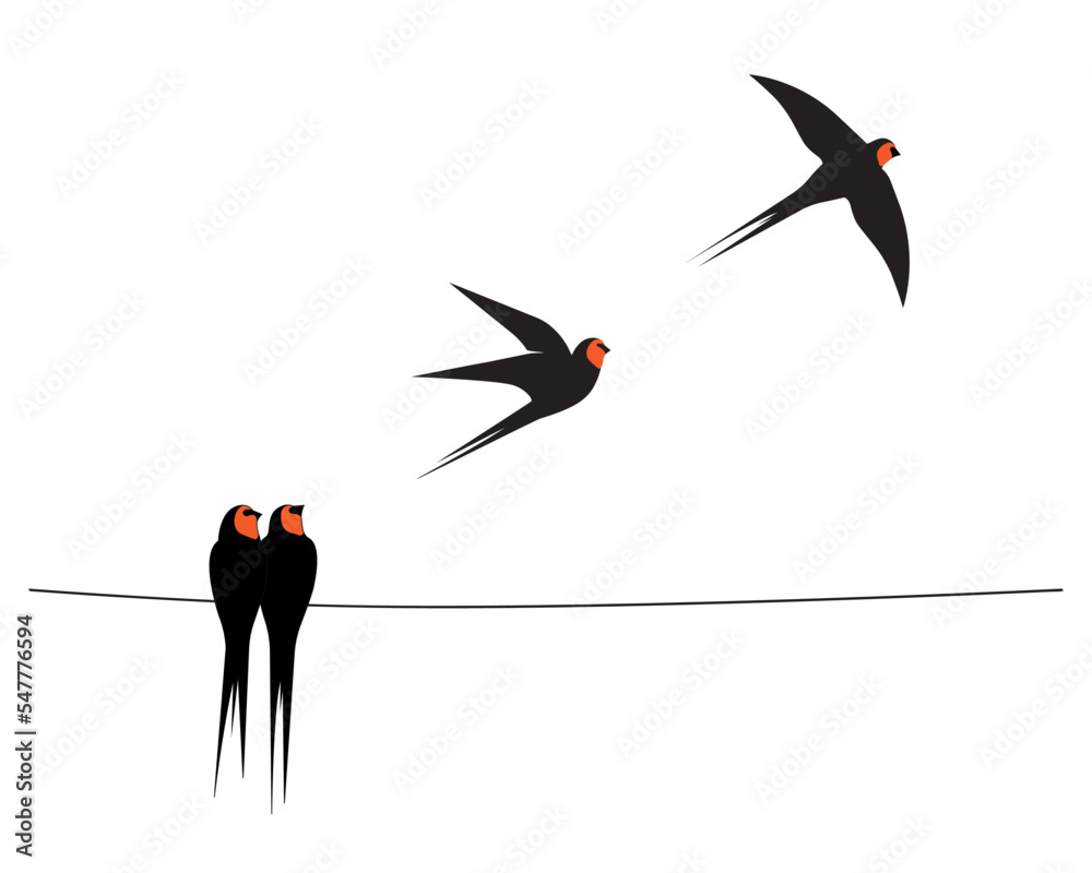 Barn swallow silhouette on wire, vector. Barn swallow birds silhouettes