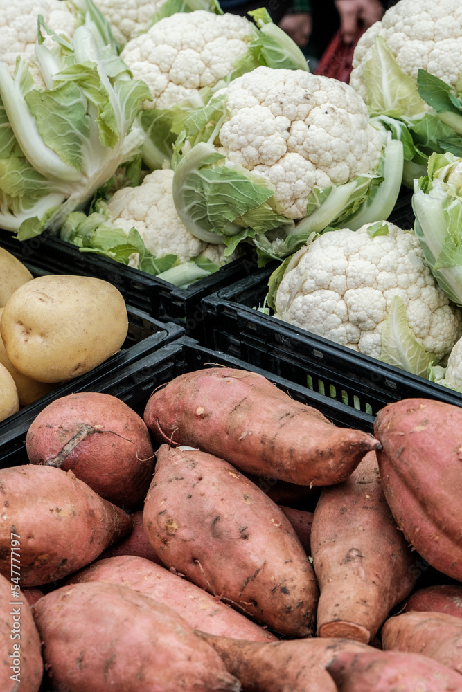 Fresh Whole Raw Uncooked Sweet Potatoes And Cauliflower Vegetables Fresh Whole Raw Uncooked Sweet Potatoes And Cauliflower Vegetables