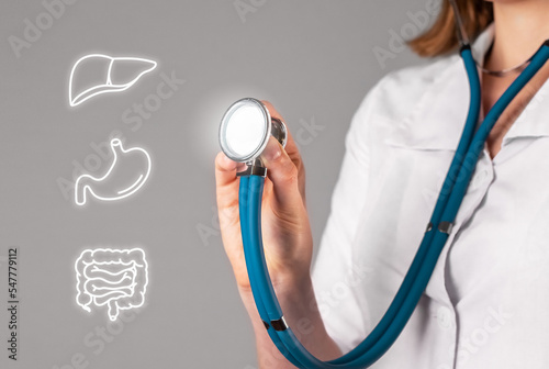 Liver stomach intestine disease and health concept. Gastroenterologist checking inner organs for gastrointestinal disease