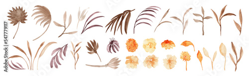 Set of watercolor exotic plants, tropical leaves, flowers. Palm foliage. Brown, beige, orange, yellow colors.