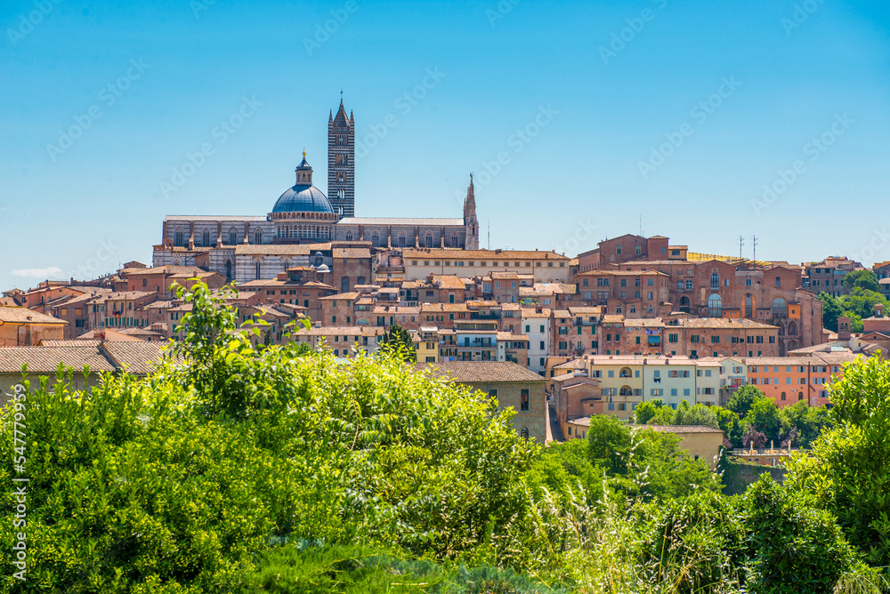 View of the skyline of Siena, Italy.