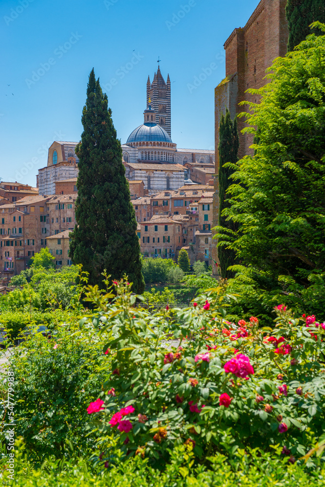Naklejka premium View of the skyline of Siena, Italy.