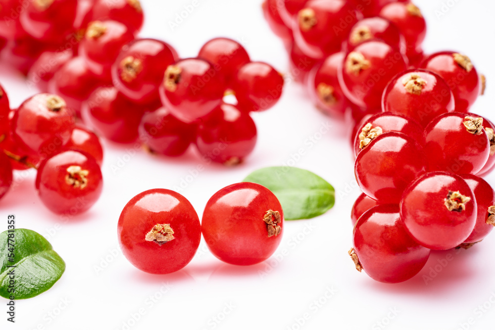 Redberries on the white background