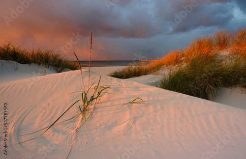 Krajobraz wybrzeża Morza Bałtyckiego, wydma , biały piasek, zachód słońca, Kołobrzeg, Polska