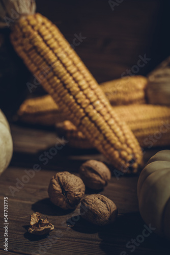Variety of autumn harvest with pumpkin and corn on table. Still life  food at wooden tabletop
