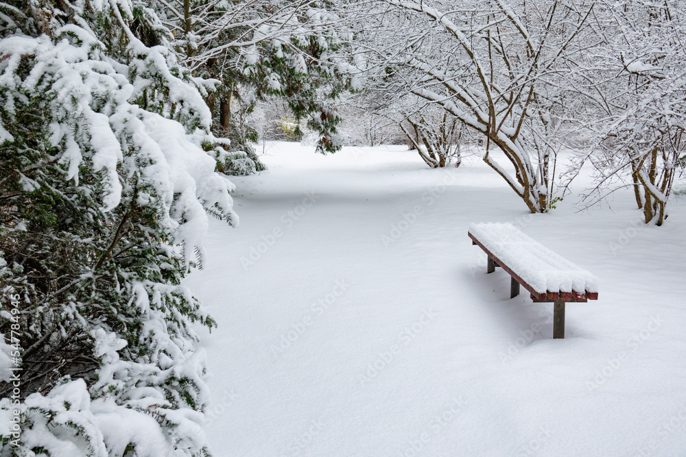 City park after snowfall.