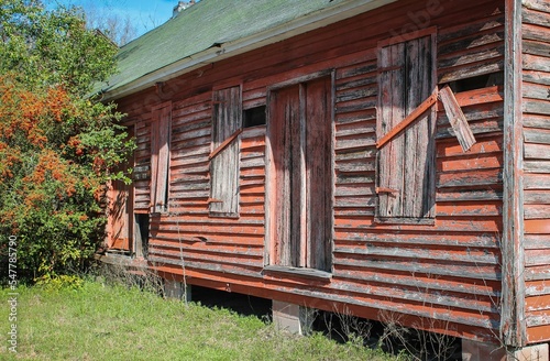 Old wooden houses surrounded by blooming trees photo