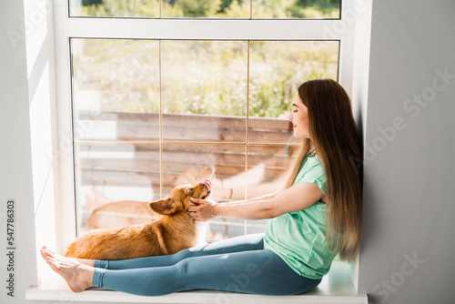 Young pregnant woman play with lovely Welsh Corgi Pembroke in break at online work. Lifestyle with domestic pet. Pregnant girl sitting on the window and hug Corgi dog at home.