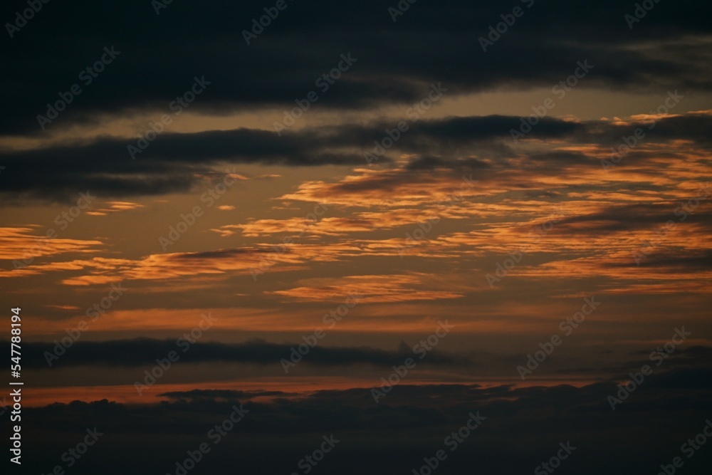A glimmering spectacle in the silhouette of the sunrise morning glow. Natural background material.