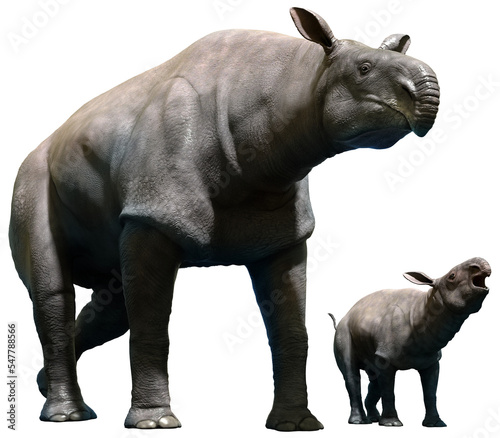 Paraceratherium with calf 3D illustration	 photo
