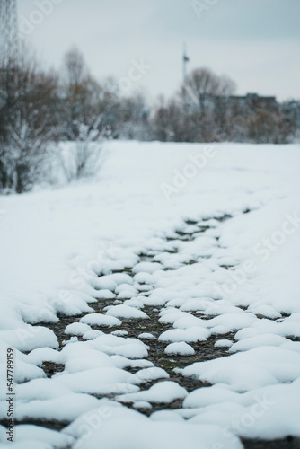 path in winter. snowy path
