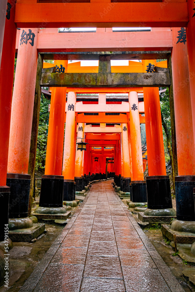 Famous red gates at Fushimi Inari Taisha in Kyoto Japan Famous red gates at Fushimi Inari Taisha in Kyoto Japan