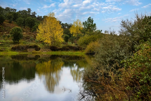 Fototapeta Naklejka Na Ścianę i Meble -  Little water dam in the autumn skies and trees with yellow and orange foliage. Countryside of Ribatejo in the portuguese village of Chamusca - Portugal