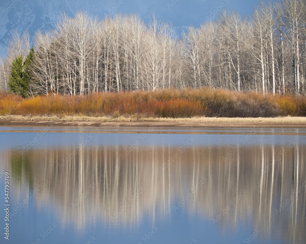 lake in autumn