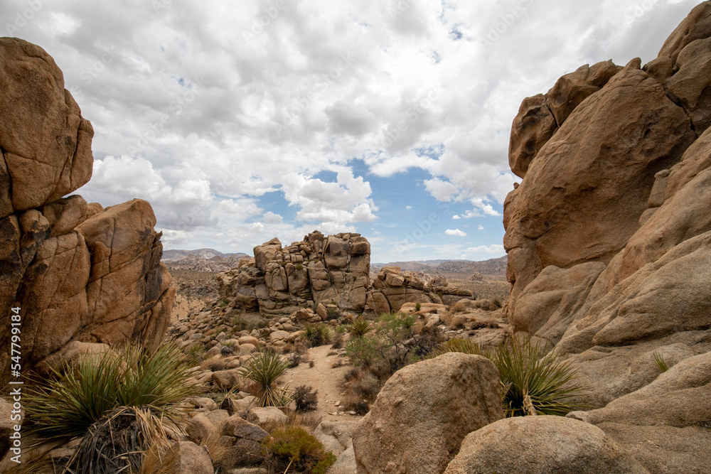 Desert scenes