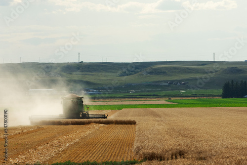 Wheat Harvest, combine thrashing across a wheat field under clear sky near Sidney, MT USA. © Gregory Borgstahl