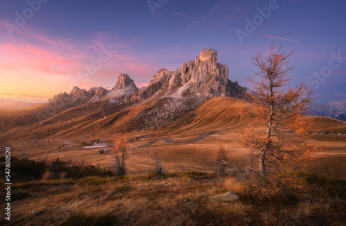 Rocky mountains and orange tree at colorful sunset in autumn in Passo Giau, Dolomites, Italy. Colorful landscape with mountains, road, hills and meadows, orange grass, pink sky with clouds in fall