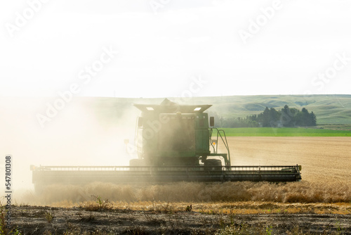wheat harvest combine harvester working on a wheat field near Sidney, MT USA © Gregory Borgstahl
