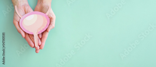Hands holding bladder, cystitis, urethritis and Urinary Incontinence, bladder cancer concept photo
