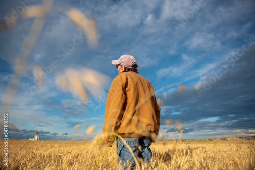 Wheat Harvest,  Woman rancher checks the  condition of her wheat before harvest near Sidney, MT USA © Gregory Borgstahl