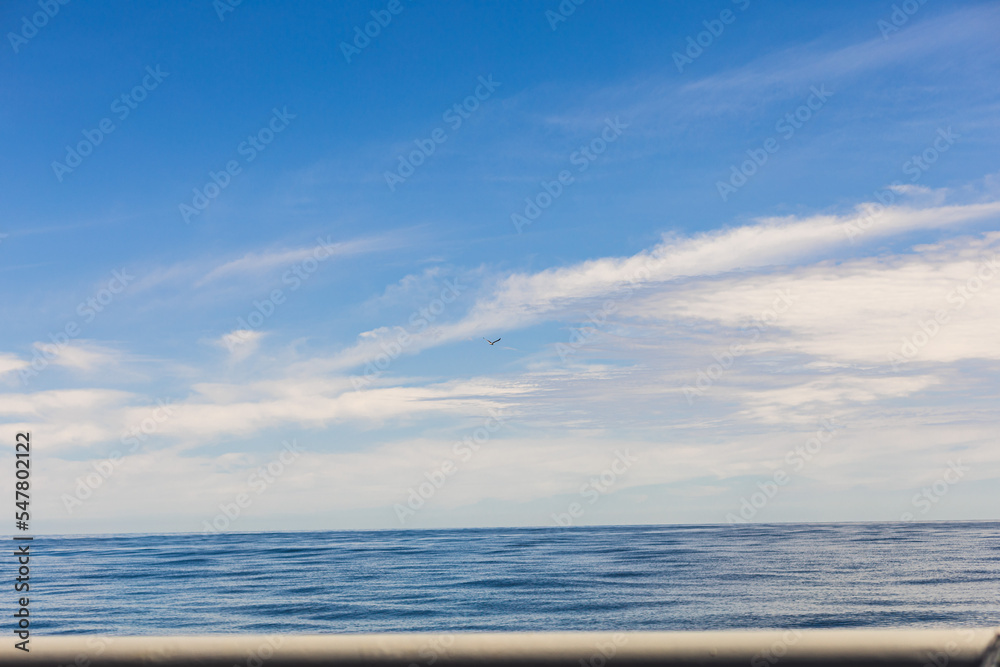 Obraz premium sea and sky