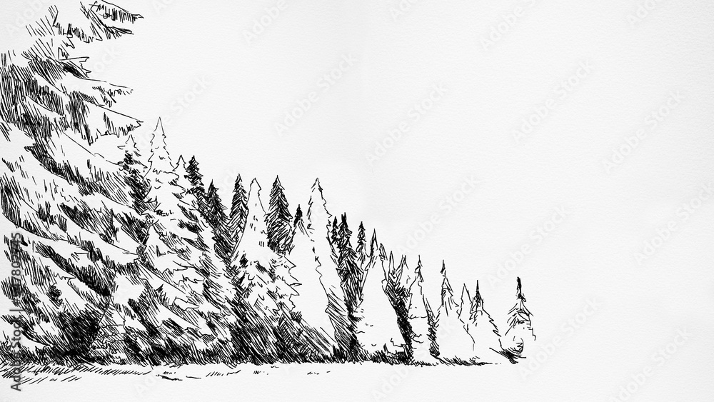 Nature drawing Pine forest hand  background sketch