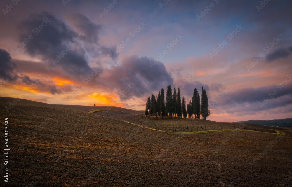 Amazing autumn colorful sunrise landscape in Tuscany. Spectacular cypress trees on field at sunrise near Siena, Tuscany, Italy, Europe. October 2022 Amazing autumn colorful sunrise landscape in Tuscany. Spectacular cypress trees on field at sunrise near Siena, Tuscany, Italy, Europe. October 2022