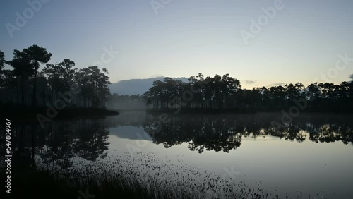 Time lapse of fog moving over pond in Everglades National Park, Florida at dawn 4K.