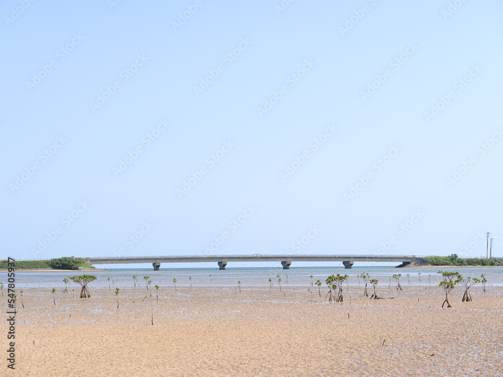 Fototapeta premium 船浦海中道路とマングローブ