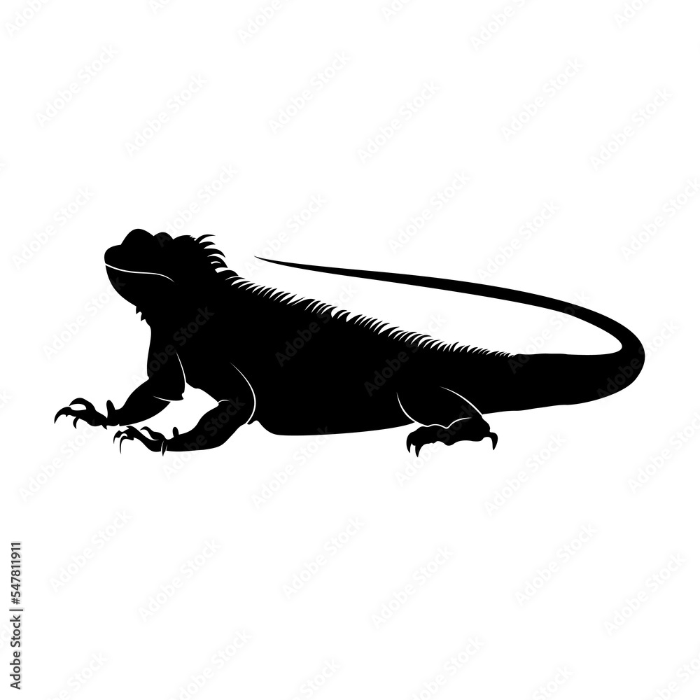 Silhouette of an iguana on a white background Silhouette of an iguana on a white background