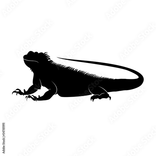 Silhouette of an iguana on a white background