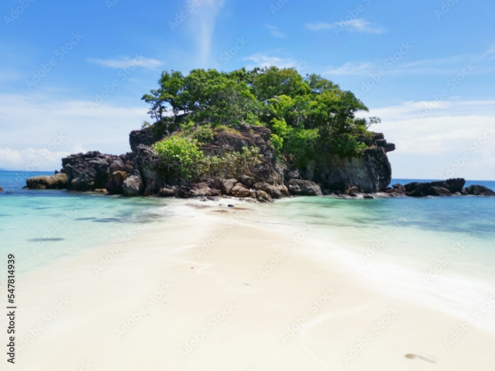 Fototapeta premium beach with trees