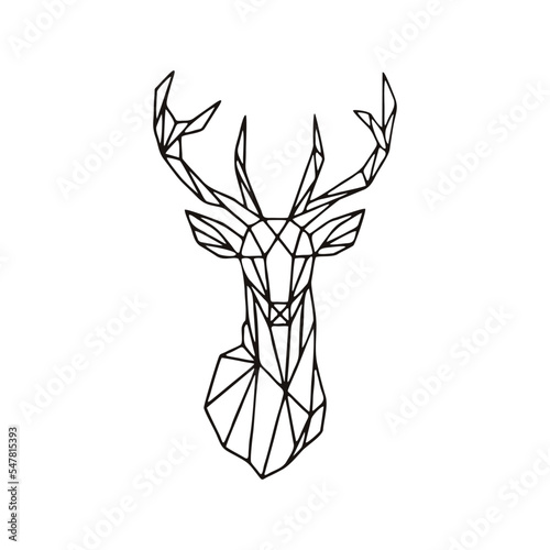animal lineal, vector 