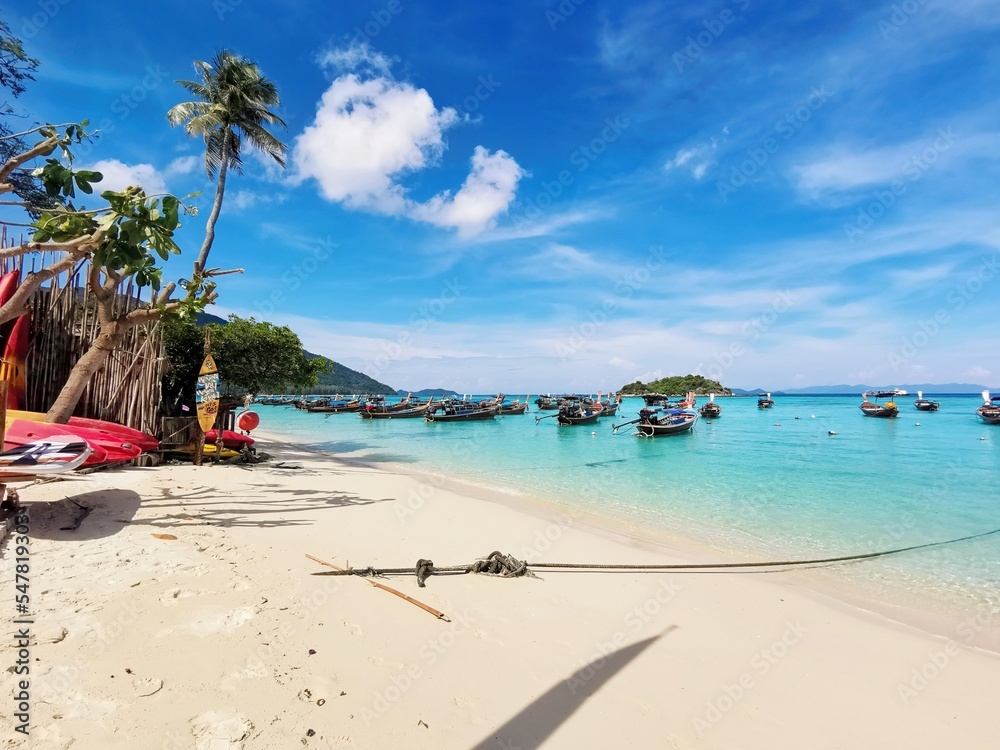 Fototapeta premium beach with trees