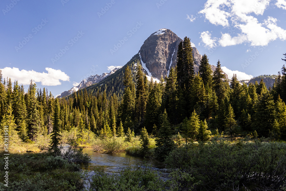 The Sphinx Peak with a dense forest in the foreground, Egypt Lake area, Banff National Park, Alberta, Canada.