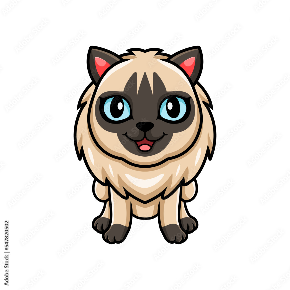Cute balinese cat cartoon posing Cute balinese cat cartoon posing