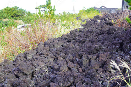 火山遊歩道の溶岩流（東京都三宅島） photo