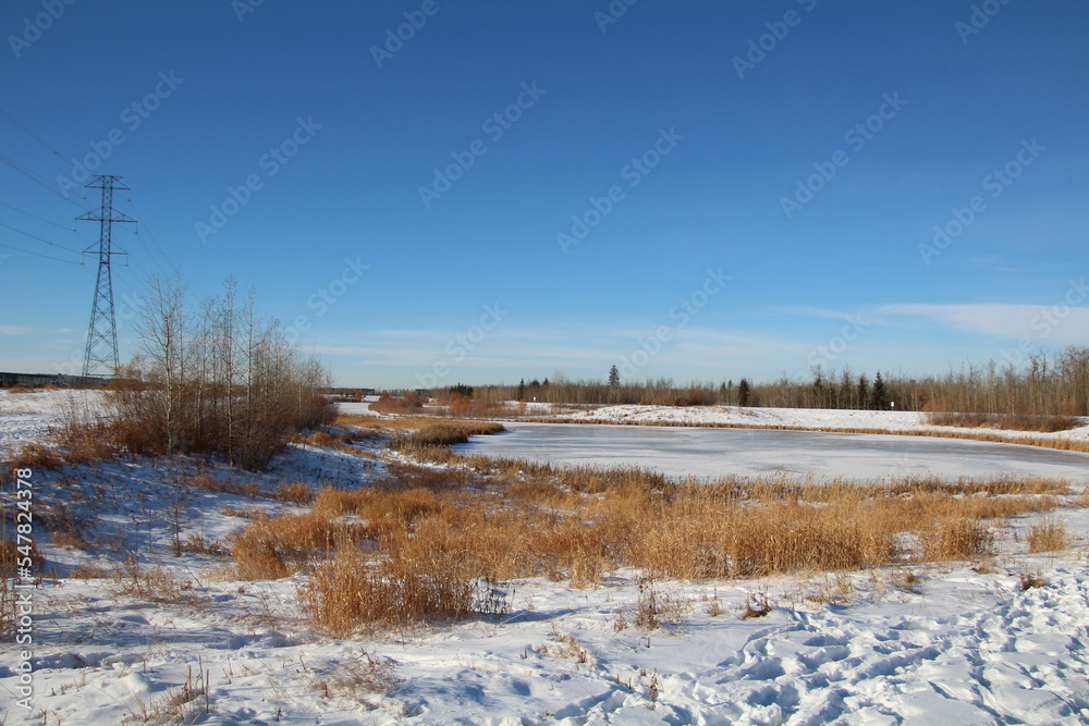 Frozen Lake, Pylypow Wetlands, Edmonton, Alberta