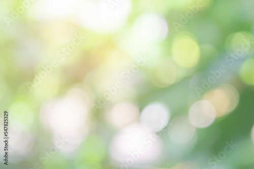 Nature bokeh blur abstract background with sun and sunbeam. Sunlight bokeh on green leaf tree foliage, blurred leaves forest sunny day in spring or summer