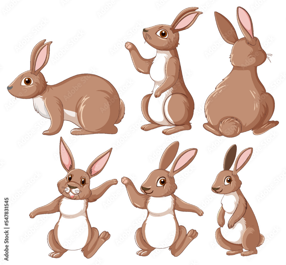 Brown rabbits in different poses set