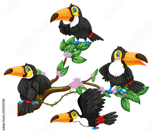 Toucan bird on a tree branch