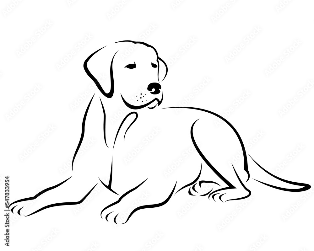 Fototapeta premium Image of a dog labrador design isolated on transparent background. Pet. Animals.